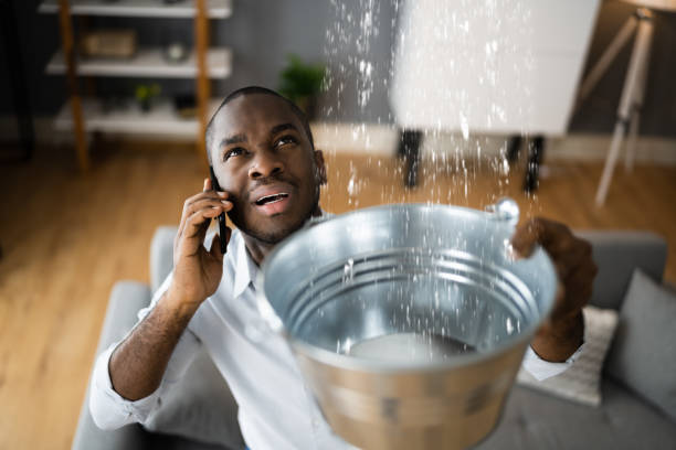 Best Carpet water damage restoration  in Carey, ID
