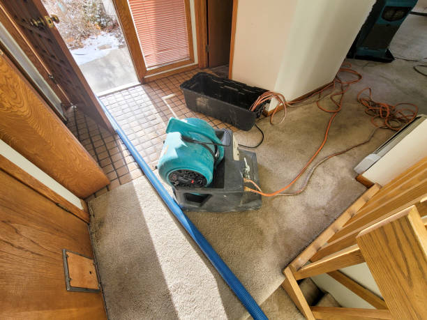 Best Ceiling water damage repair  in Carey, ID