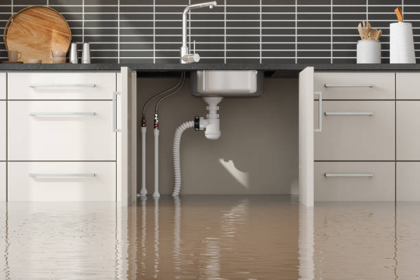 Professional Water damage restoration in ID