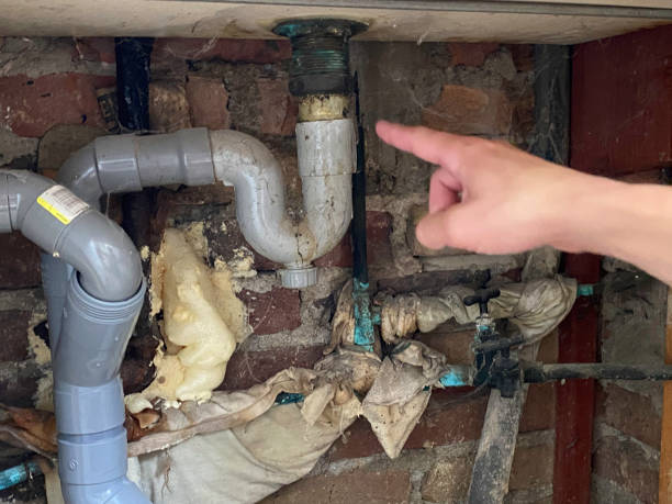 Best Carpet water damage restoration  in Carey, ID