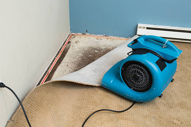 Best Flooded house restoration  in Carey, ID